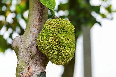 《开拓者：正义之怒》增强版登陆主机 PC获免费升级